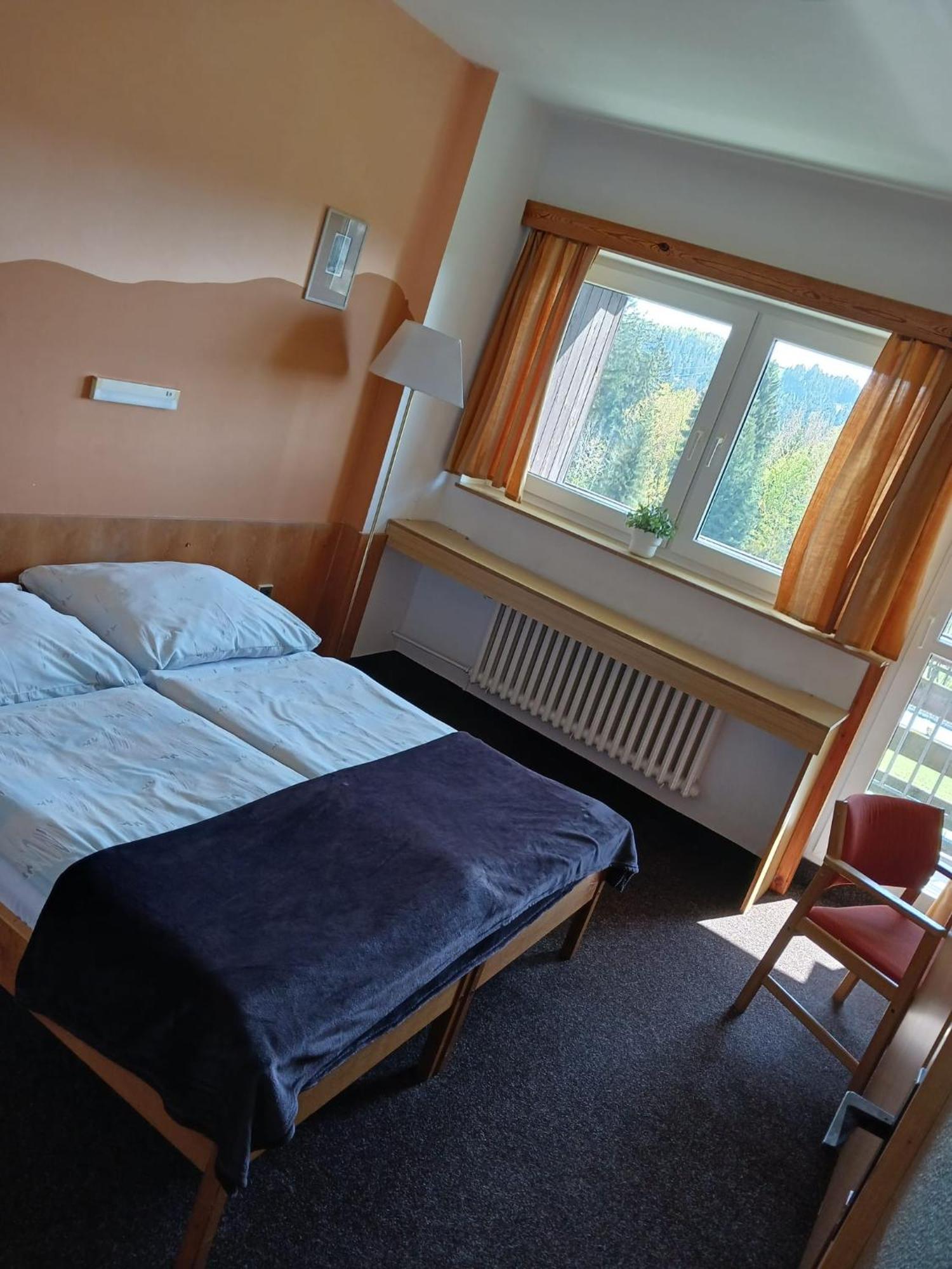 Hotel Albert - Retro Paseky nad Jizerou Kültér fotó