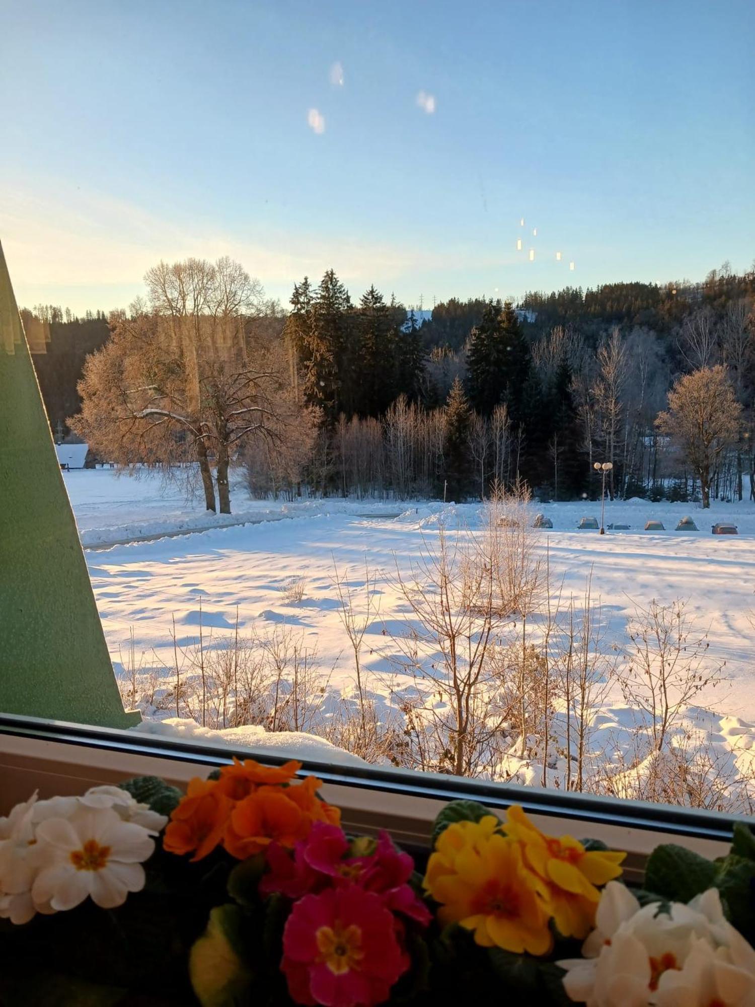 Hotel Albert - Retro Paseky nad Jizerou Kültér fotó